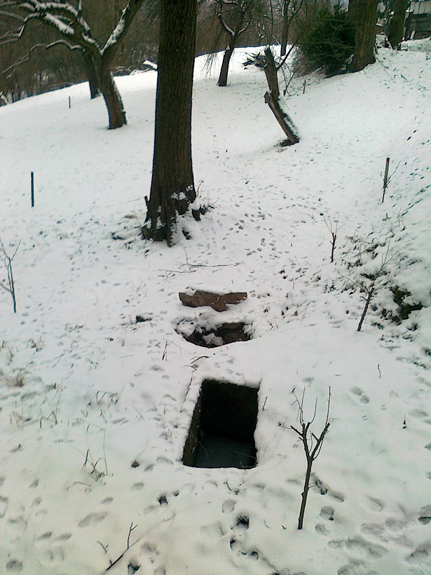 studánka Pod zahrádkami (6432)
