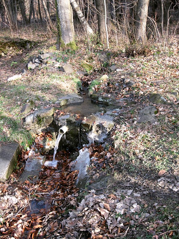 pramen Pod Smrčkem (6434)