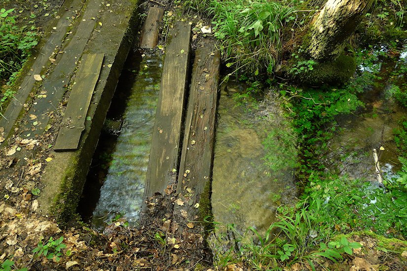 studna Prokopova studánka (6437)