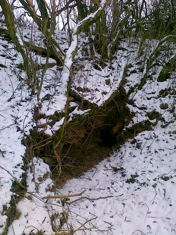 studánka Drahoška (6440)