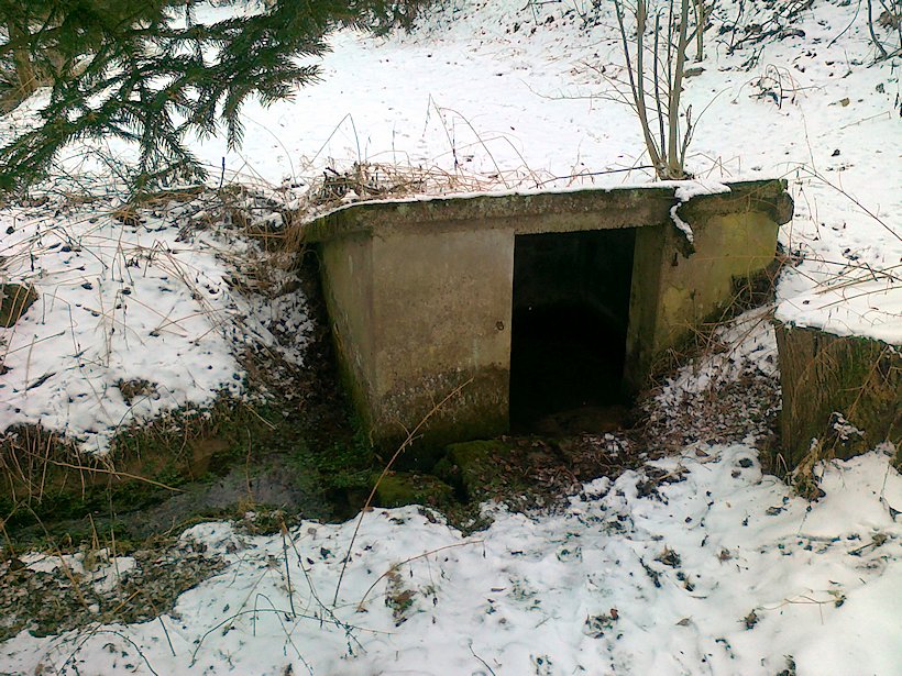 studánka Nad Dolním rybníkem (6441)