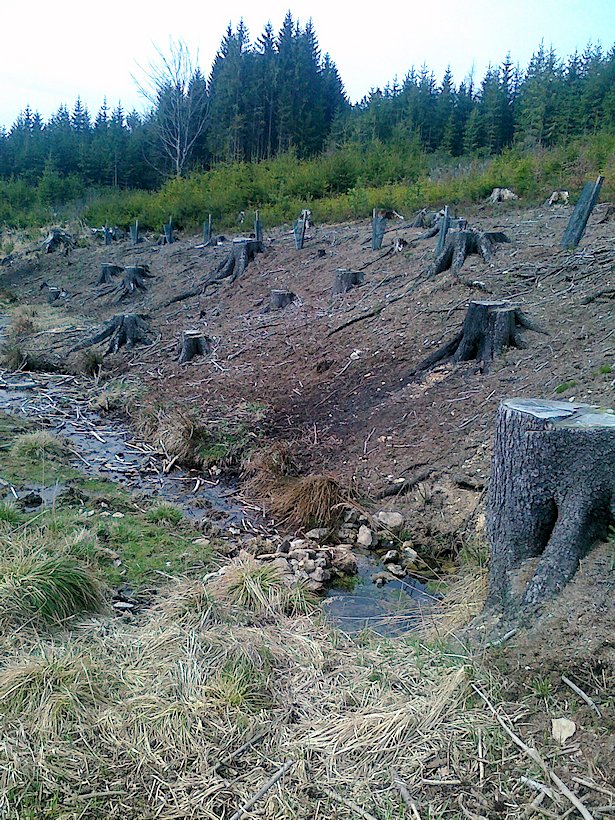Stříbrná studánka (6444)