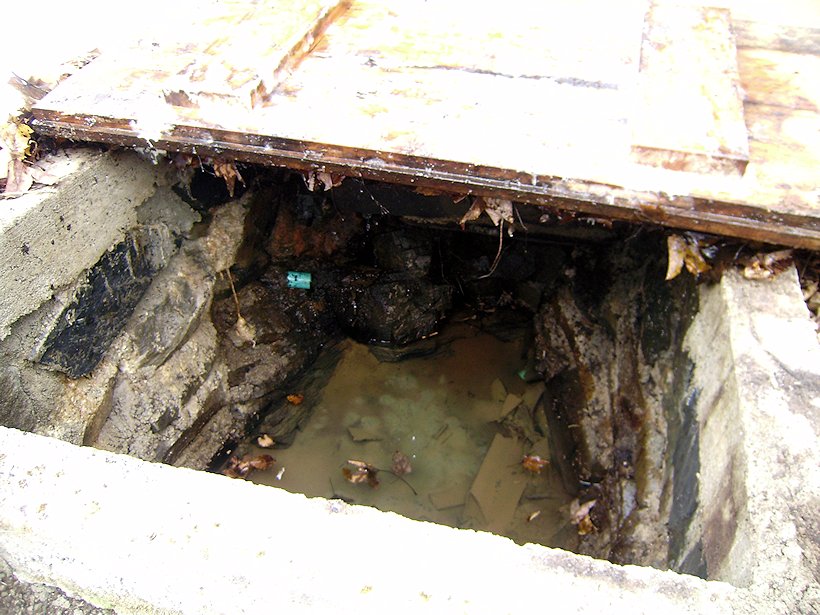 studánka bez jména (6456)