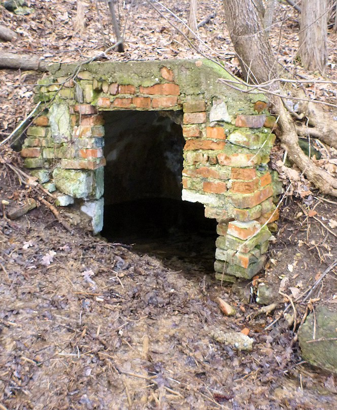 jiný vodní zdroj Kralupský (6457)