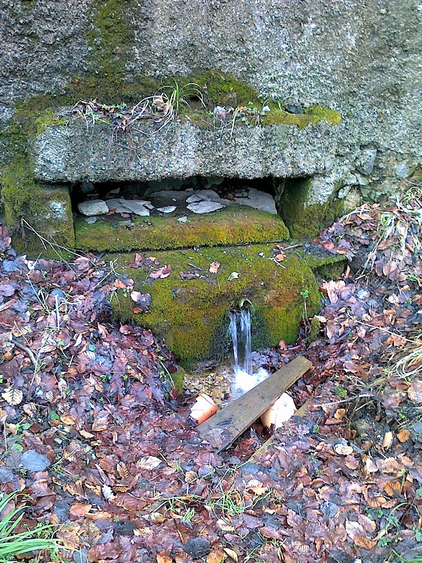studánka Na Mandlu (6462)