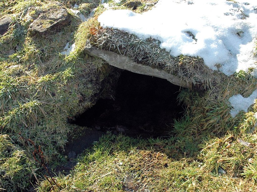 studánka U Trávníčků (6467)
