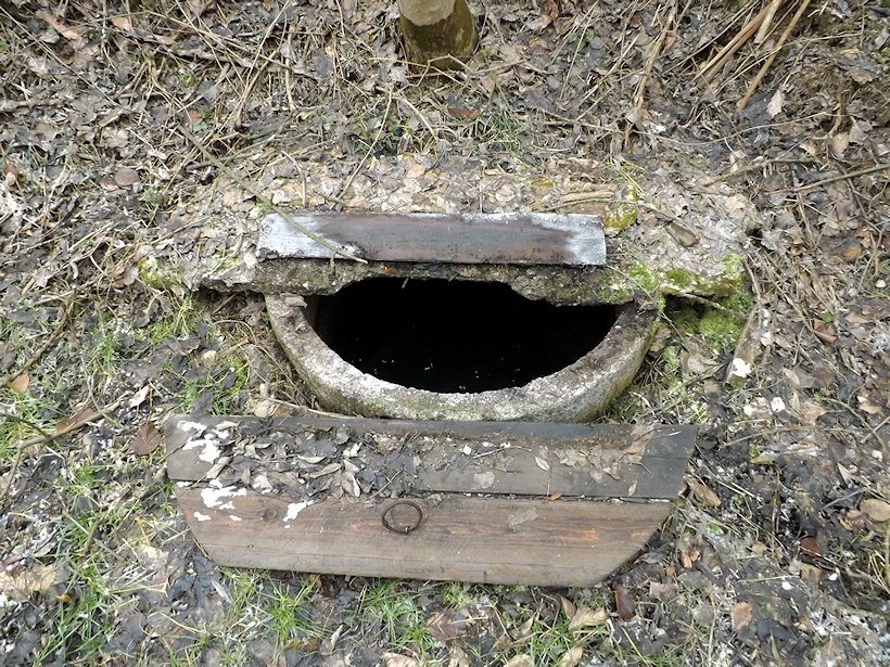 studánka Pod Jednovem (6468)