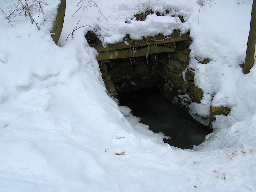 studánka U Pivků II (6473)
