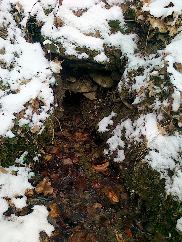 studánka Nad pomníčkem (6475)