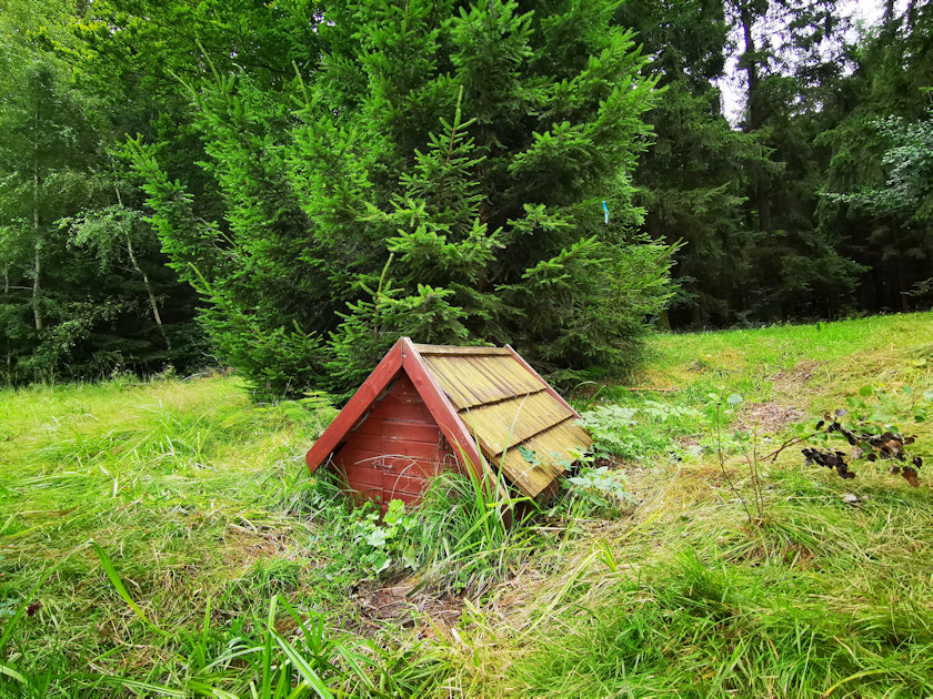 studánka bez jména (6484)