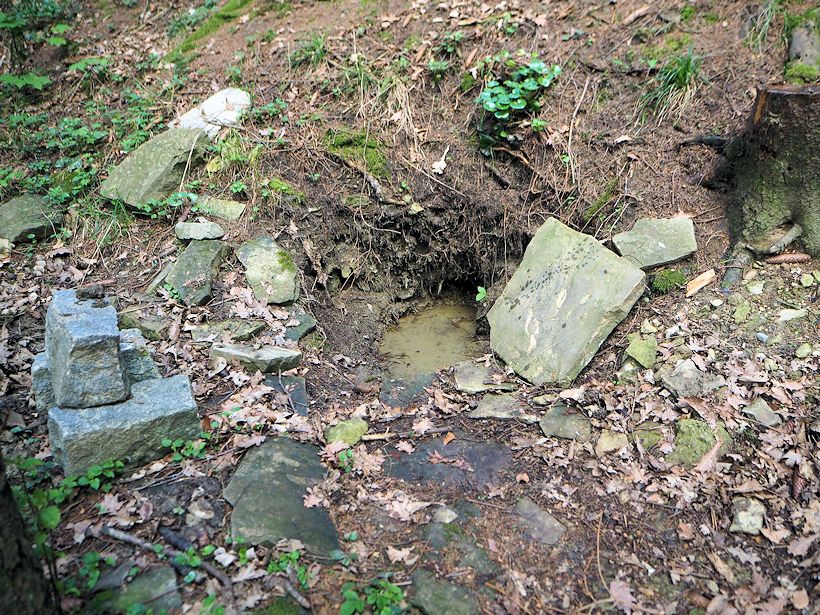 Studánka Jalovec (6502)