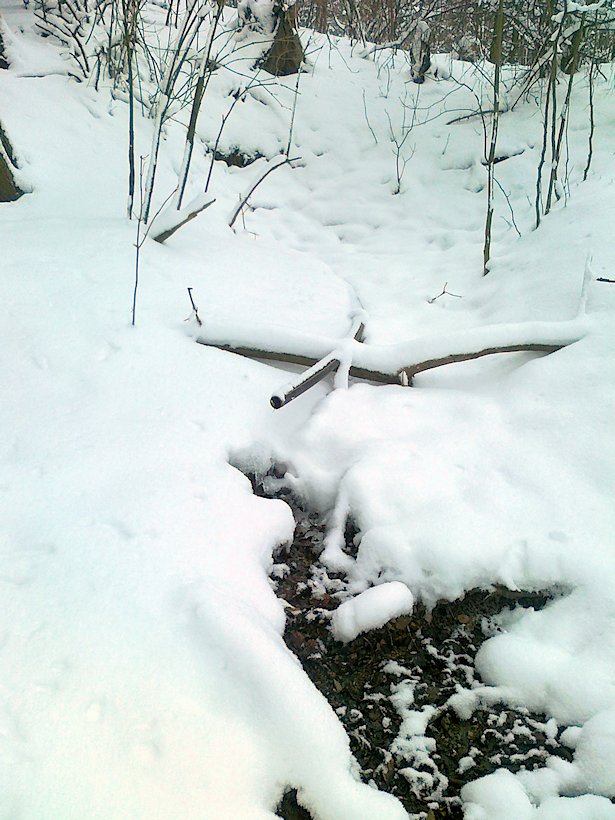 studánka Pod Kozlovcem (6511)