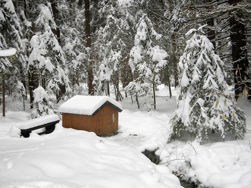 studánka U Síglu (6515)