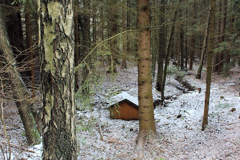 studánka Na rozcestí (6517)