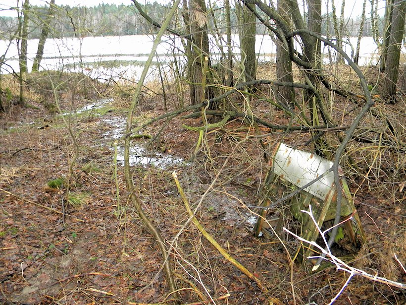 studánka bez jména (6527)