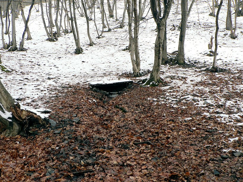 studánka bez jména (6534)