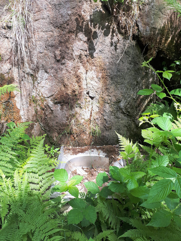 studánka bez jména (6544)