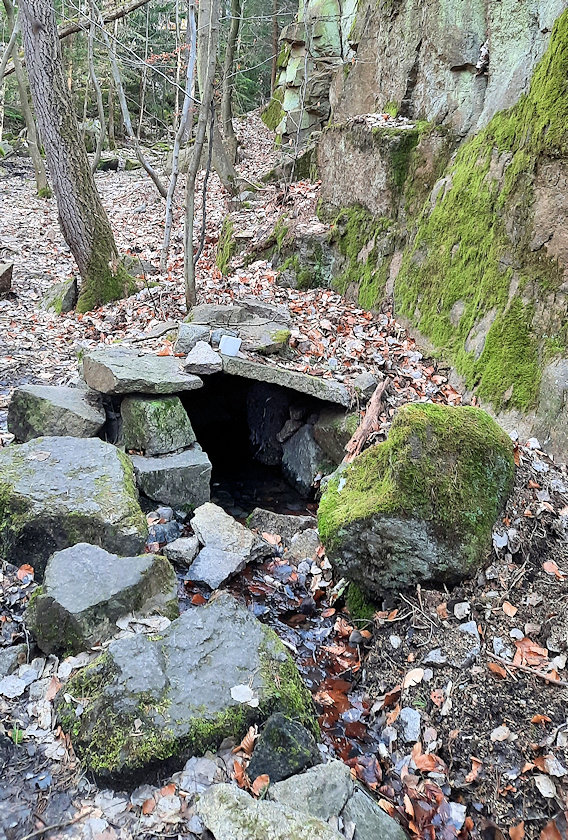 studánka bez jména (6545)
