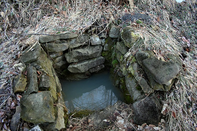 studánka bez jména (6546)