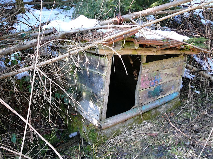 studánka bez jména (6550)