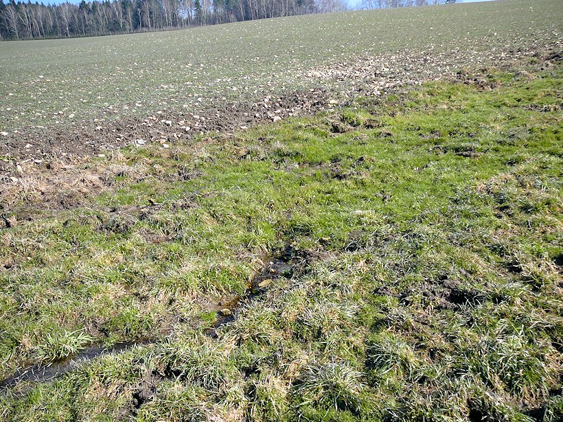 Prameniště Sojčího potoka (6551)