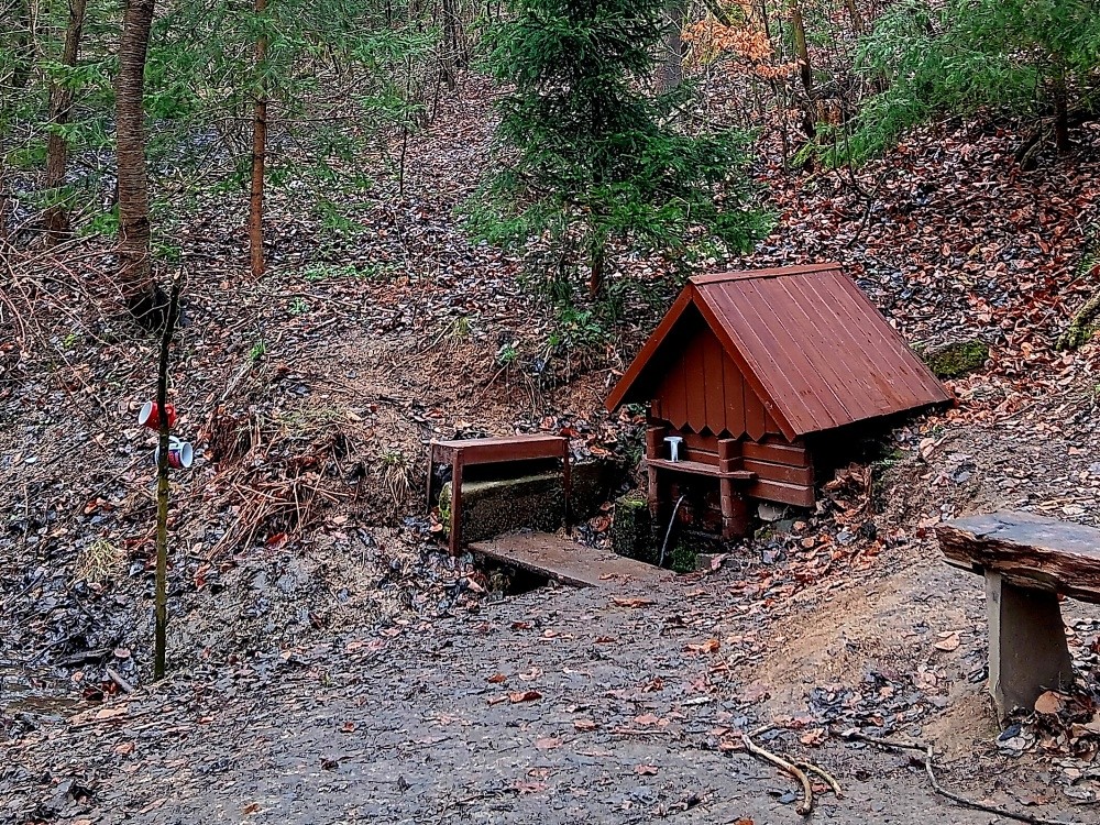 studánka Ve Vlčkově zmole (6553)