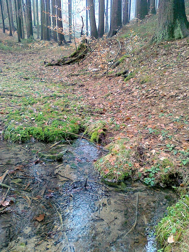pramen Nad vodárnou (6556)