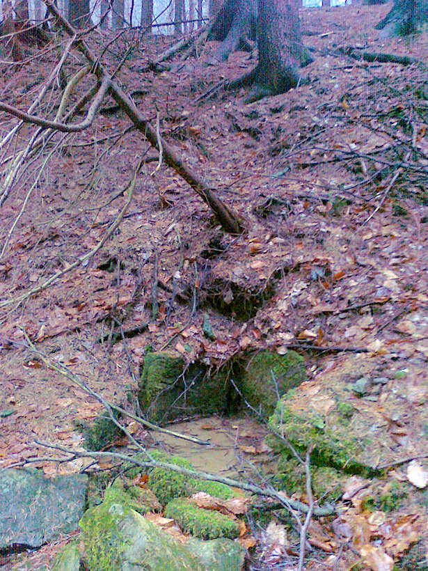 studánka Pod lékárníkovou chatou (6557)
