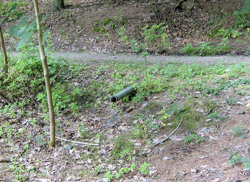 studánka Sezónní (6567)