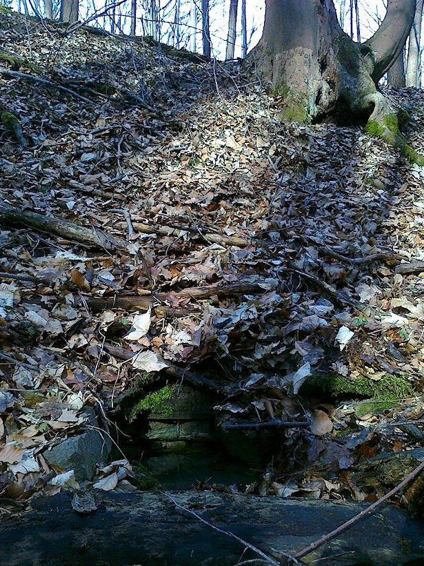 studánka Nad rybníčky (6568)