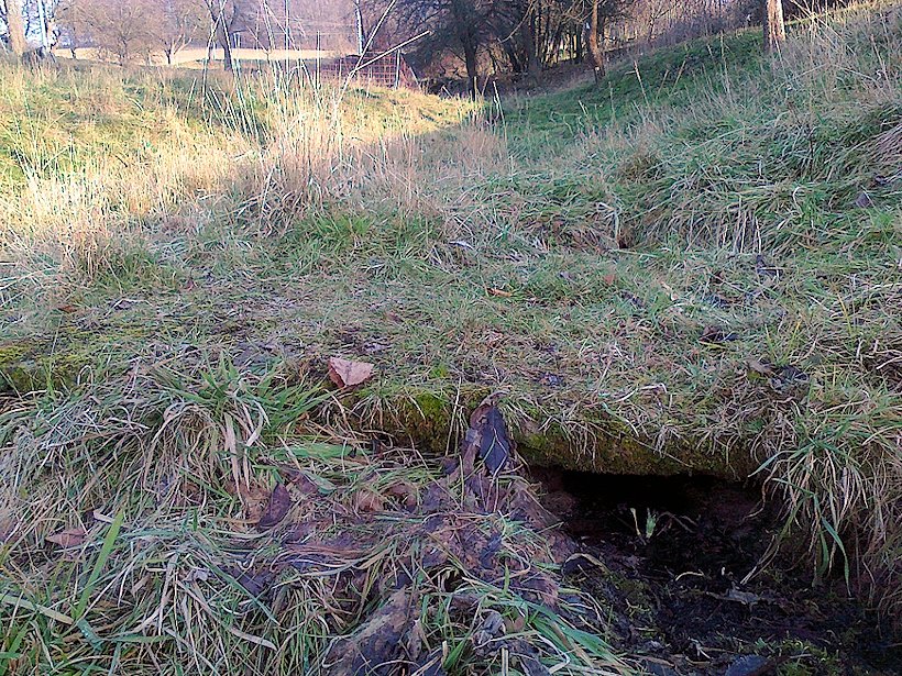 studánka Běhulova (6569)