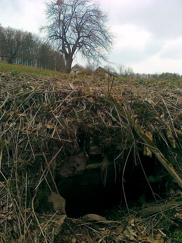 studánka Vývodová (6573)