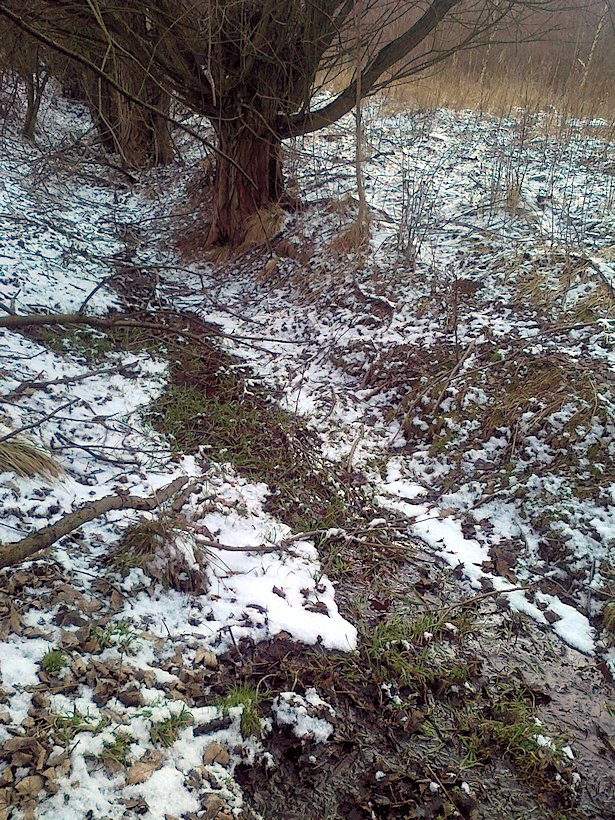 pramen Nad cihelnou (6579)