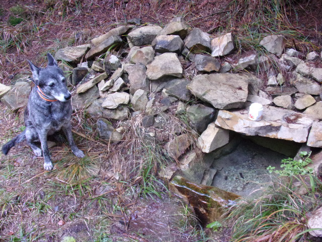 studánka U obrázku (6598)