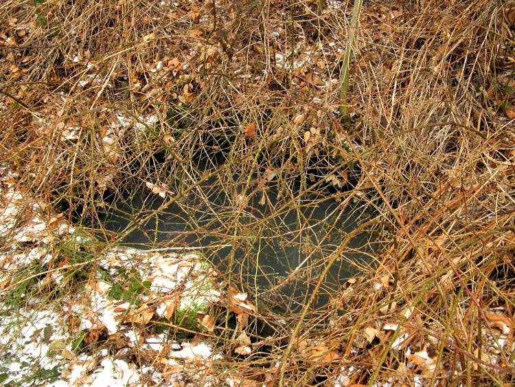 studánka U Goldů (6627)