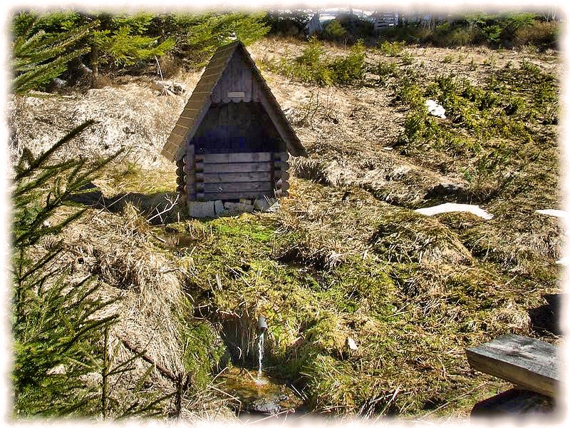studánka U jezevce (6631)