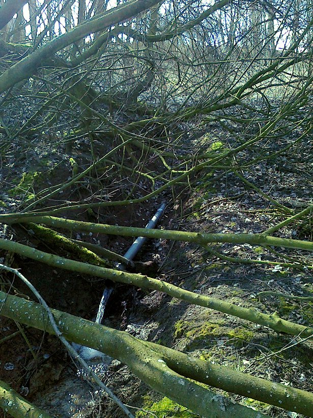 studánka Pod Pannou Marií (6653)