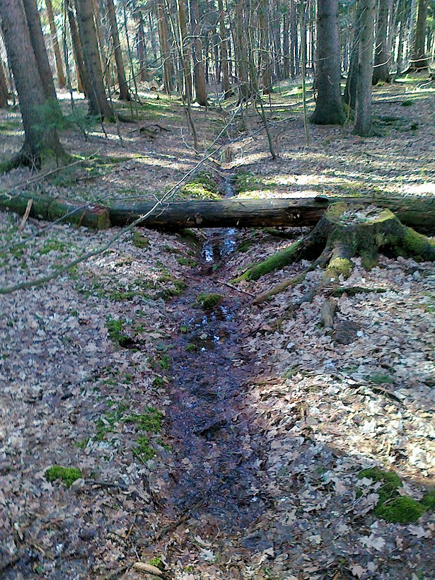 pramen Nad Malovou březinou (6654)
