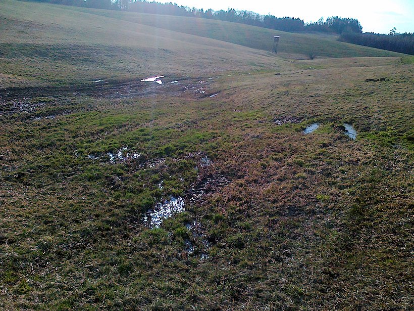 prameniště U Smrčiny (6658)