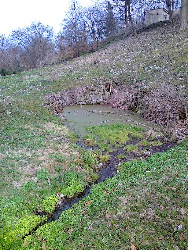 pramen Nad hasičárnou (6672)