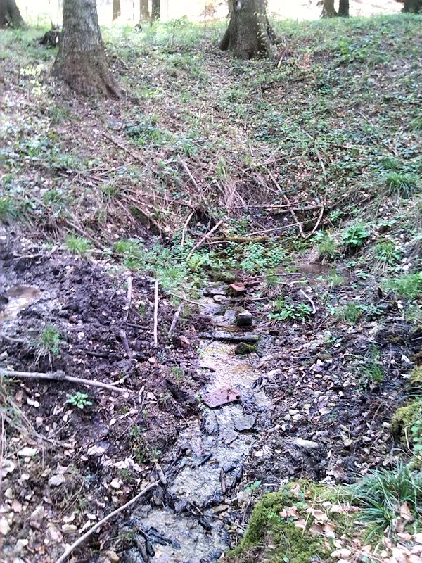 studánka Na Presích (6678)