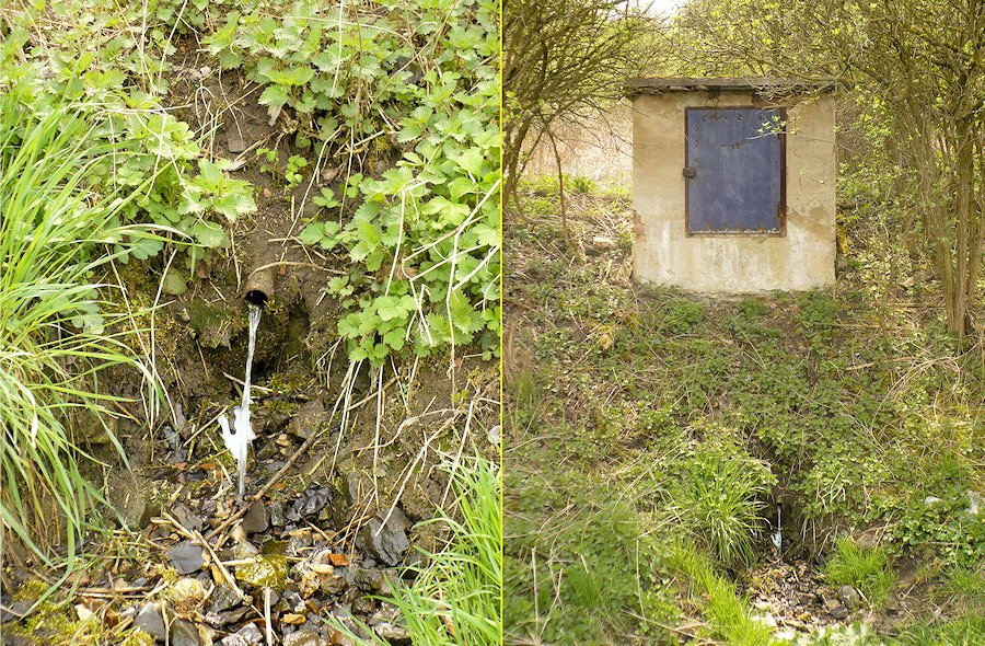 studánka bez jména (6683)