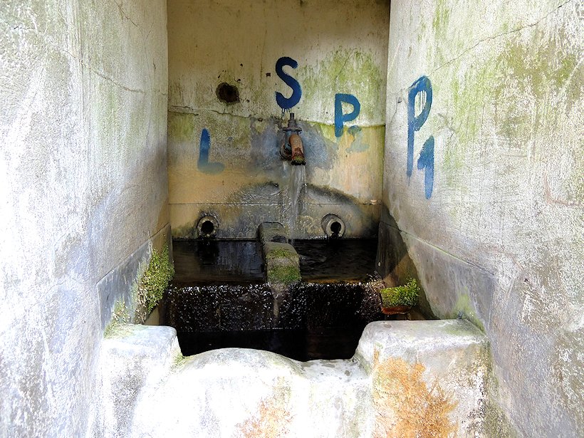 studánka bez jména (6687)