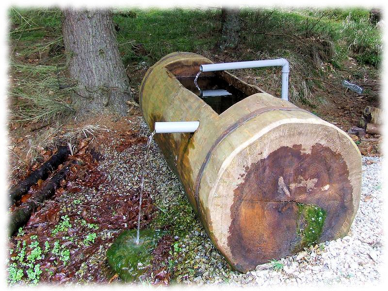 studánka bez jména (6709)