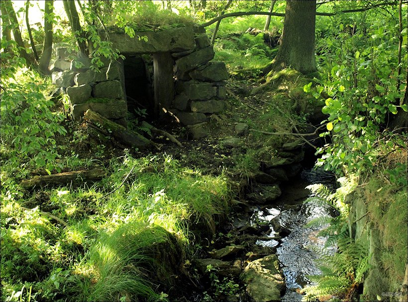 Severní studánka (6769)