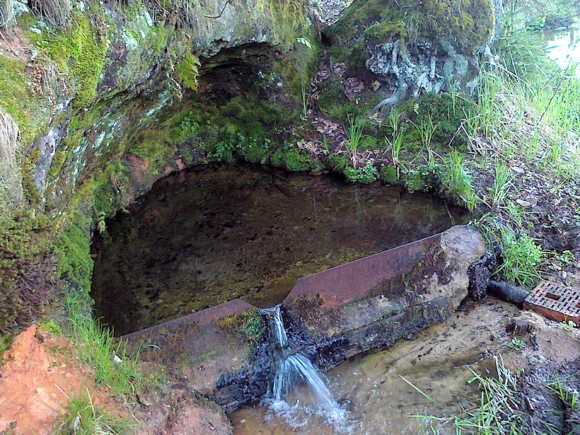studánka bez jména (6770)