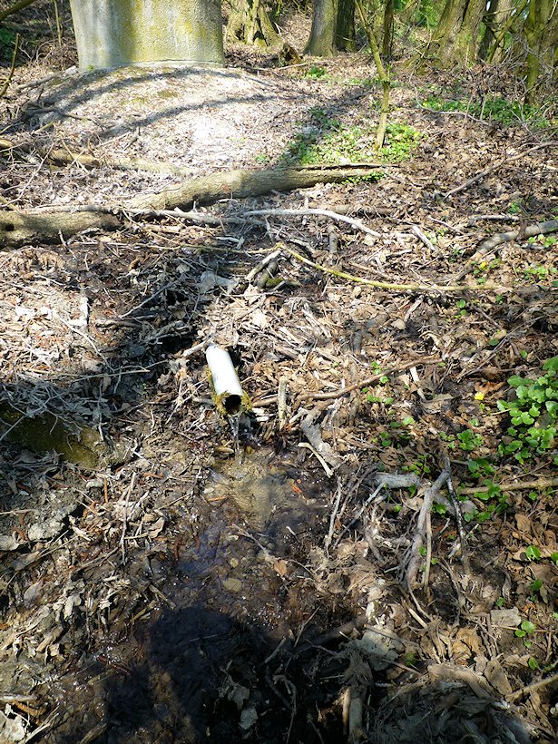 studánka Nad rybníčkem (6774)