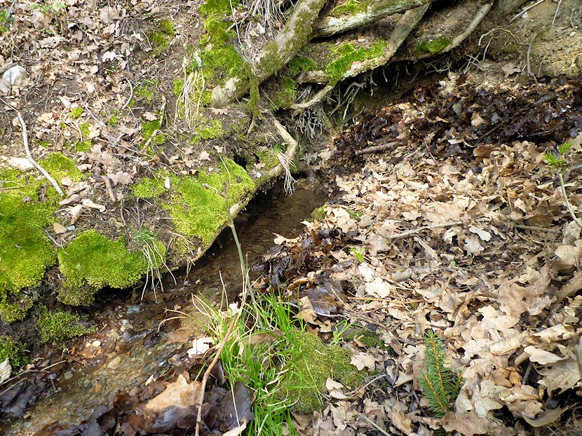 studánka V Náklích (6775)