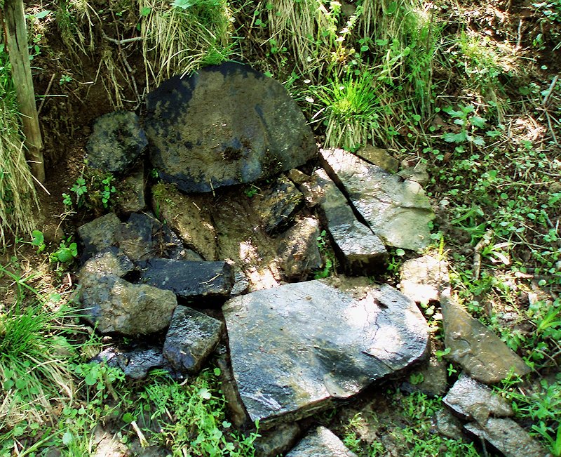 studánka Studnička (6777)