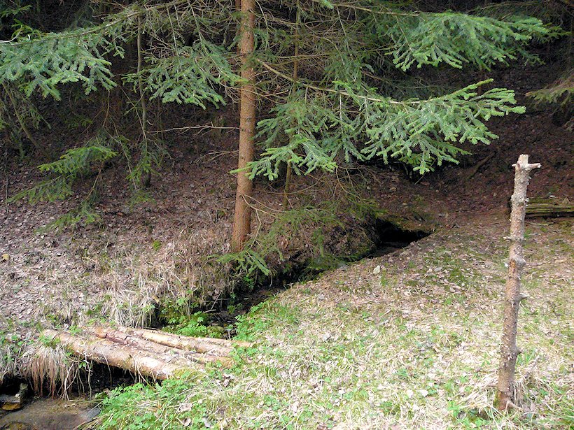 studánka  V Kroužku (6781)